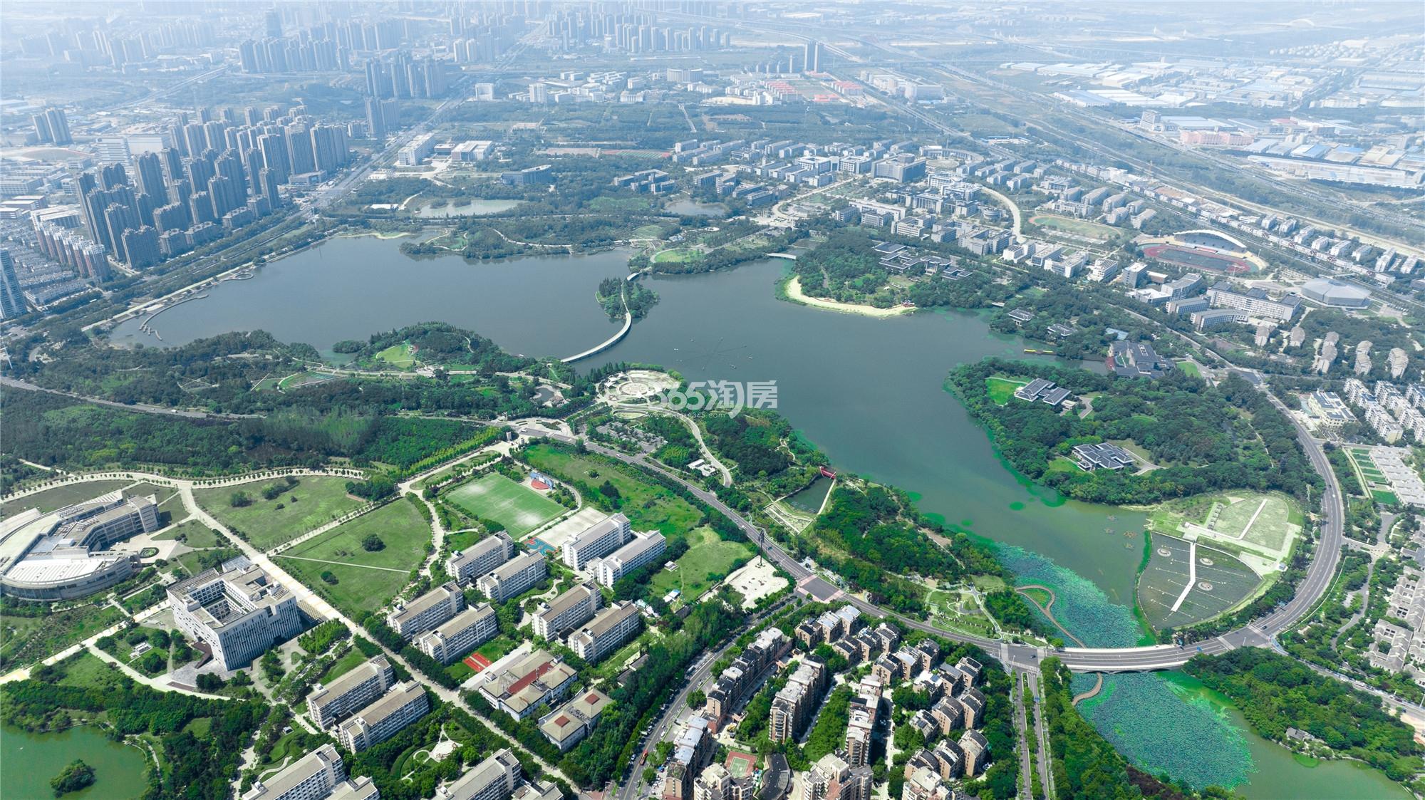 龙湖翠湖壹号周边大学城配套图（2023.1.9）