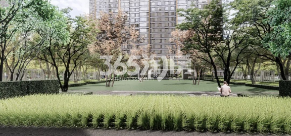 润樾庭景观效果图