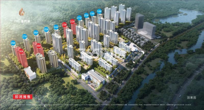万科雁鸣湖效果图