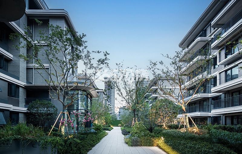 铂宸府一期叠墅区域景观道路实景（2022.7.28摄）