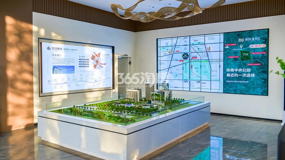 徽创·龙川汇营销中心实景图（2023.02.22）