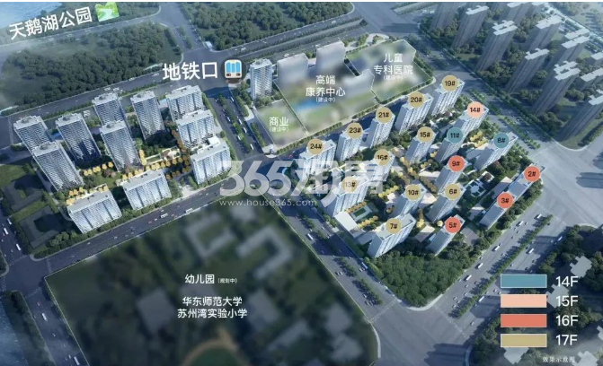 大家·东望规划图