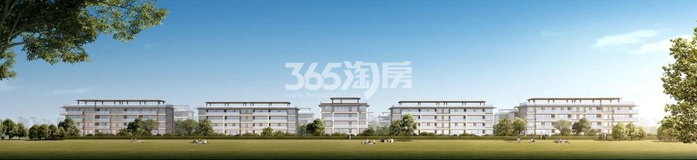 绿城紫薇花开效果图