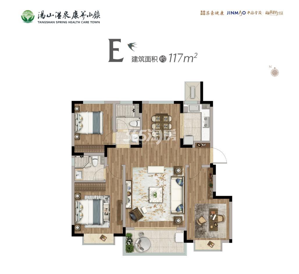 汤山温泉康养小镇E户型建面117㎡