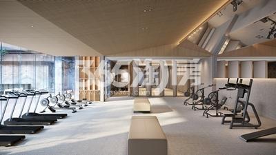 中建虹溪璟庭公共健身房