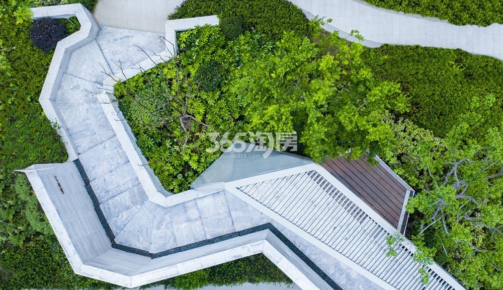 碧桂园国风云樾最新动态